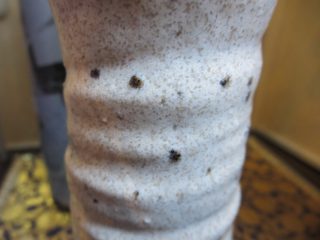 美濃焼　日本陶器の代表　暖か味のある地肌が癒しを誘います。供花用に　花瓶